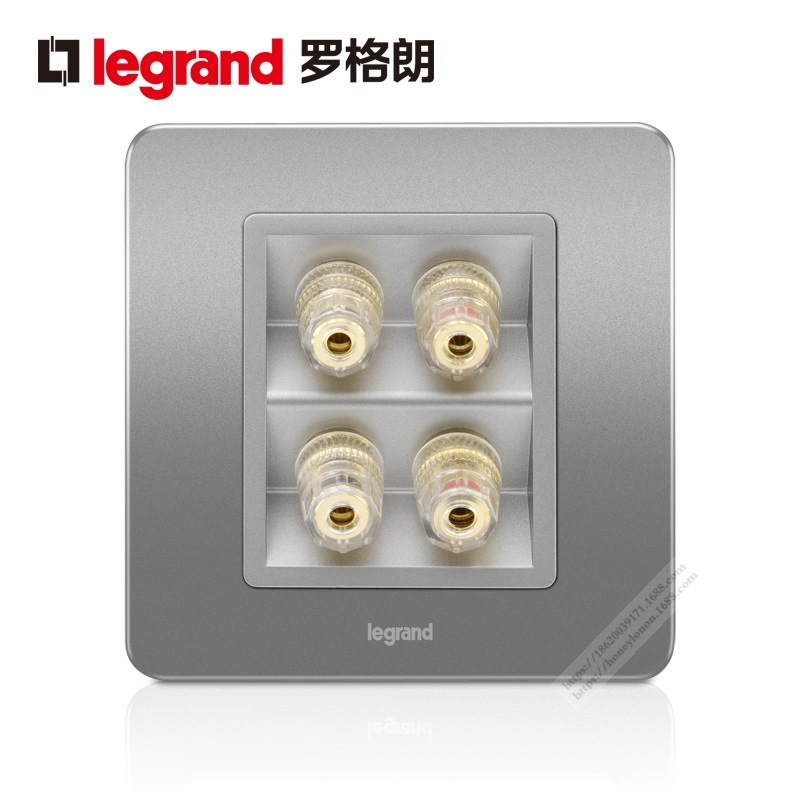 Legrand丨罗格朗 逸典系列 二位音箱插_醇砂钢V8/M8/2