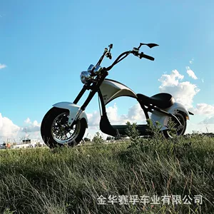 EEC 45km Sürət Həddi AB Elektrikli Harley Motosiklet Pedal Motosiklet