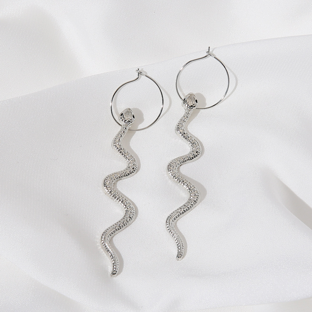 Retro Snake-shaped Long Earrings Wholesale Nihaojewelry display picture 21