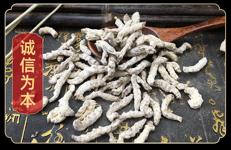 White Silkworm Jiang Can Dried Bombyx Batryticatus Bulk Chinese Herb 500g in use