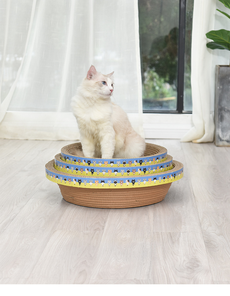 猫猫_12