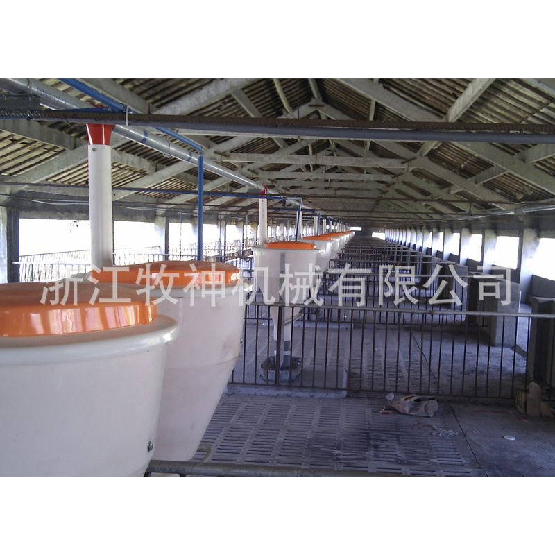 厂家直销养猪设备全自动料线 猪用自动供料线 定制自动供料系统