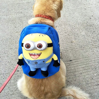 宠物背包金毛大狗外出自背包边牧萨摩耶中大型犬双肩书包一件代发|ms