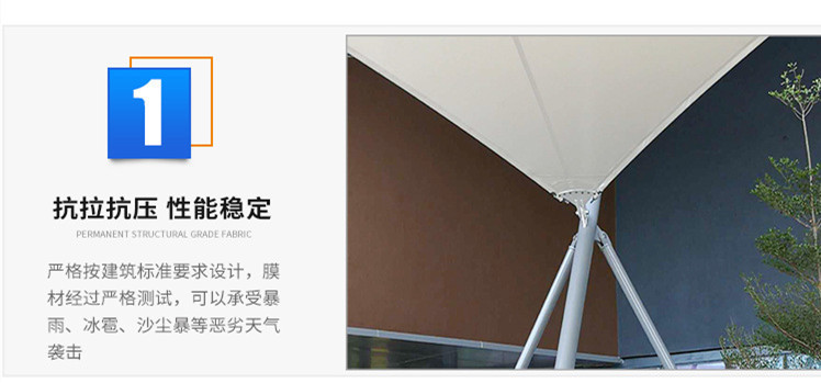 10305761421_1902849059