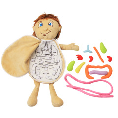 New Children's Body Structure Puzzle, Baby Internal Organ Cognitive Apron, Kindergarten Early Education Toy Wholesale