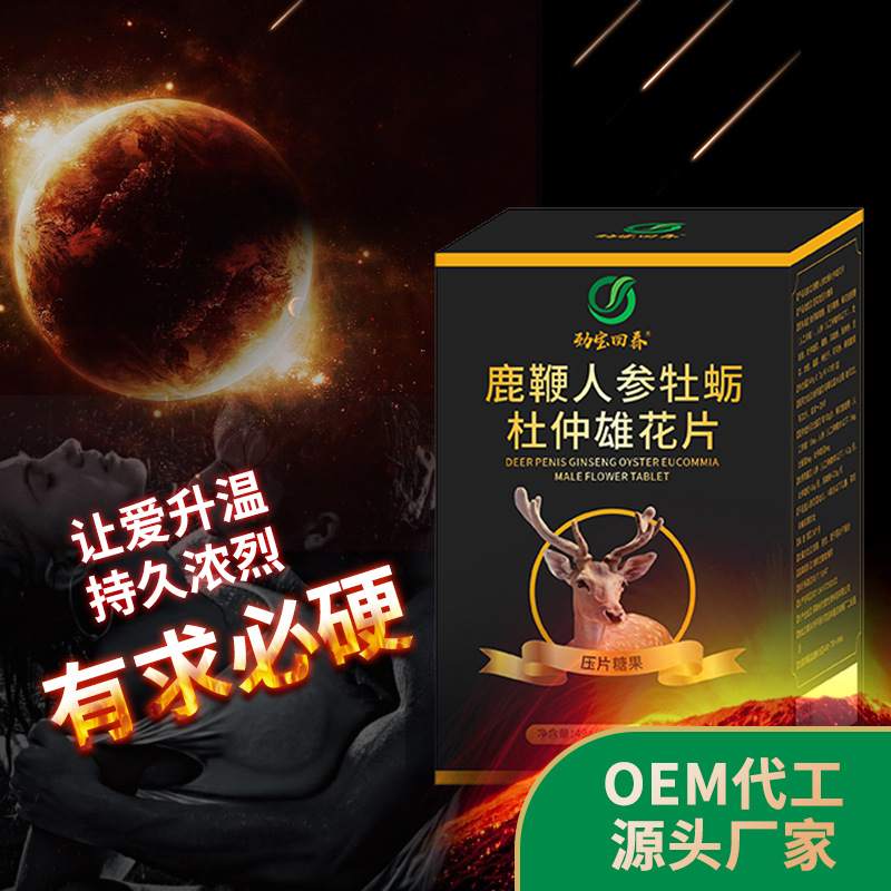 勁寶回春鹿鞭人參牡蛎杜仲雄花片廠家直銷 人參鹿鞭杜仲雄花片oem