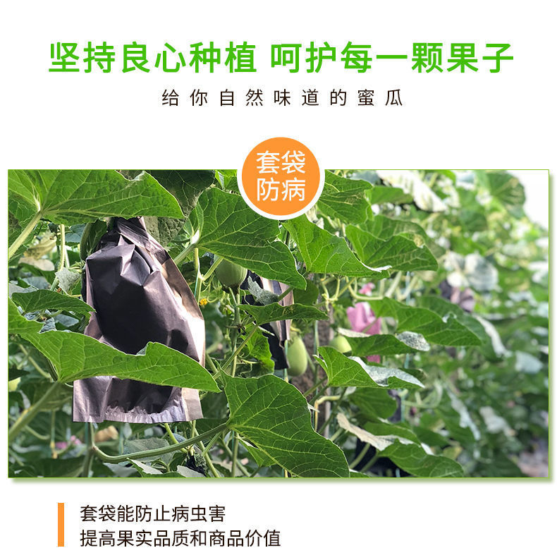 4c4bc3626c5253fde482d7b58bc827