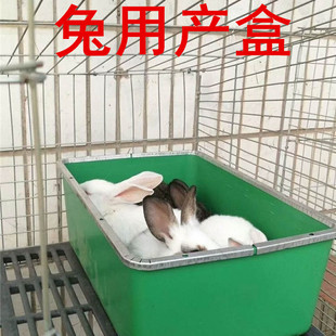 ���îa���� ���ӻ\�����îa�� ��ĸ�û\�a�� �������a�� ���иC