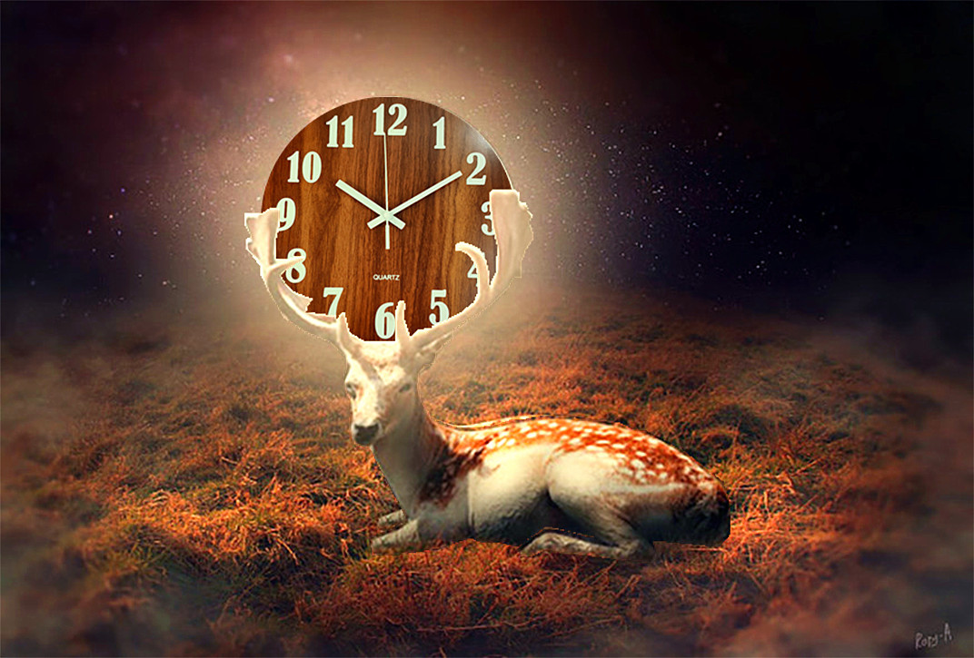 16xx898562x1_副本_副本