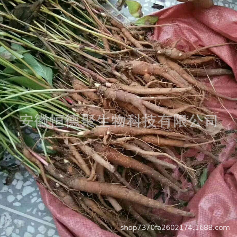 QQ图片20200222122123