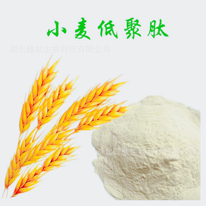 Collagen Manufactor Direct selling high quality Wheat Oligopeptide Substitute meal powder raw materials protein Content High peptide content