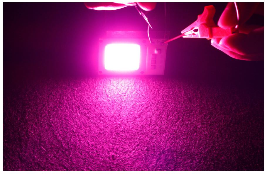 O1CN0145OD4i22jUq6gcxGL_!!8047