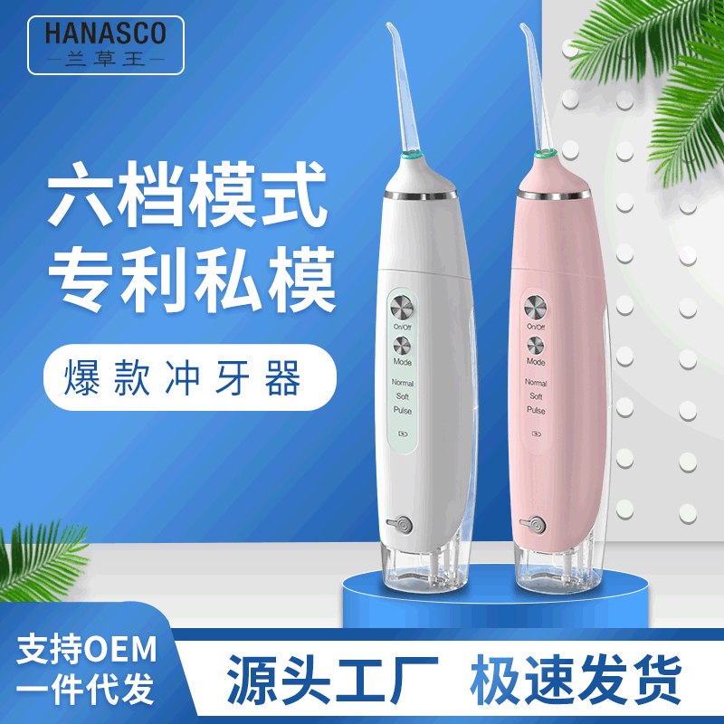 Orchid Grass King Portable Teeth Flosser Rechargeable Water Flosser Orthodontic Teeth Cleaner Home Care Teeth Cleaner