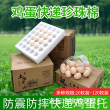 河南珍珠棉 雞蛋鵝蛋20枚鴨蛋托盤 水果物流快遞泡沫包裝托盤