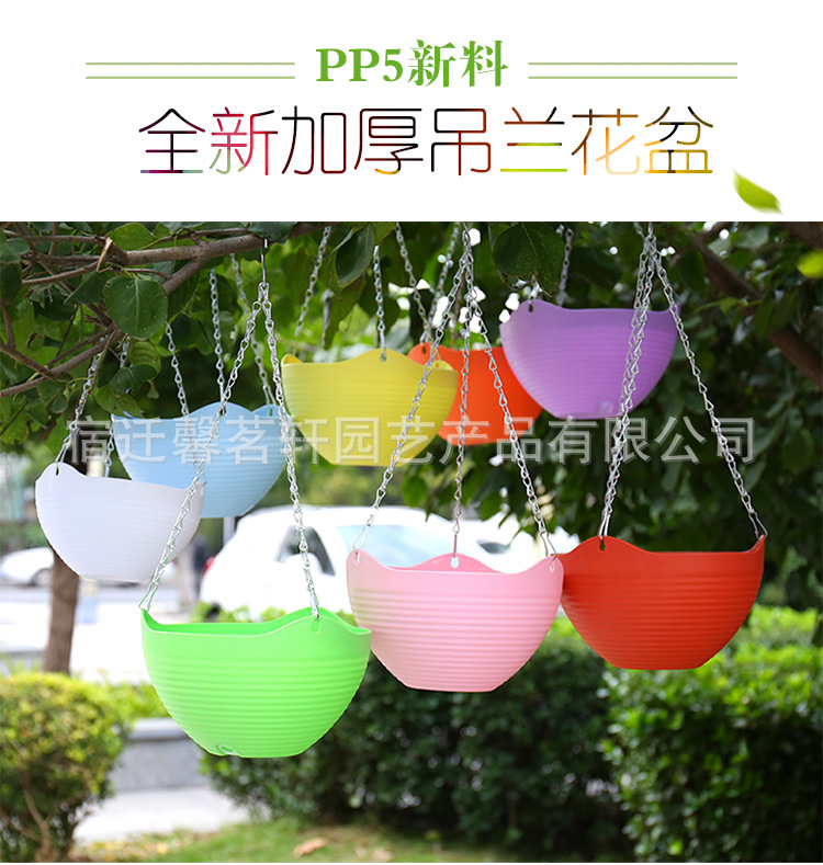 ������_01