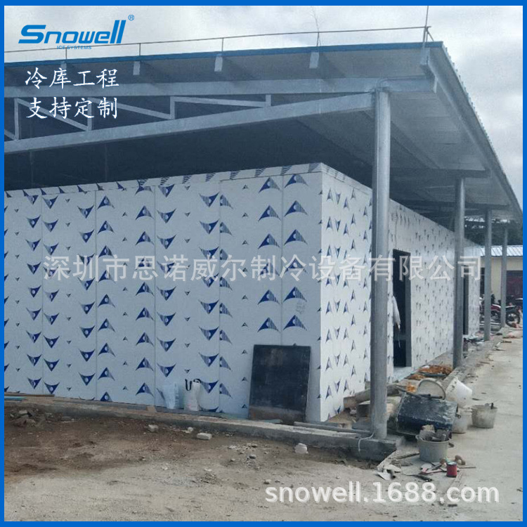 冷库制冷设备机组 思诺威尔定制冷库工程 集装箱冷库冰库