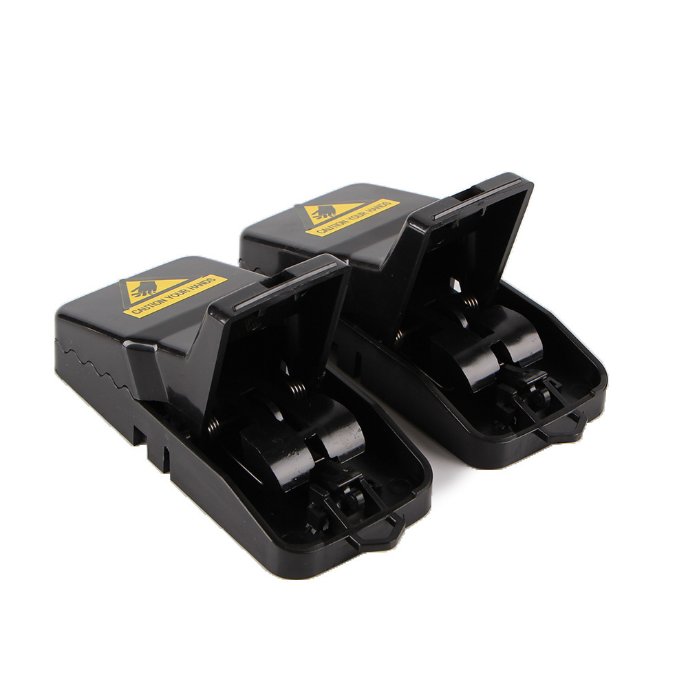 3465522355_842520673