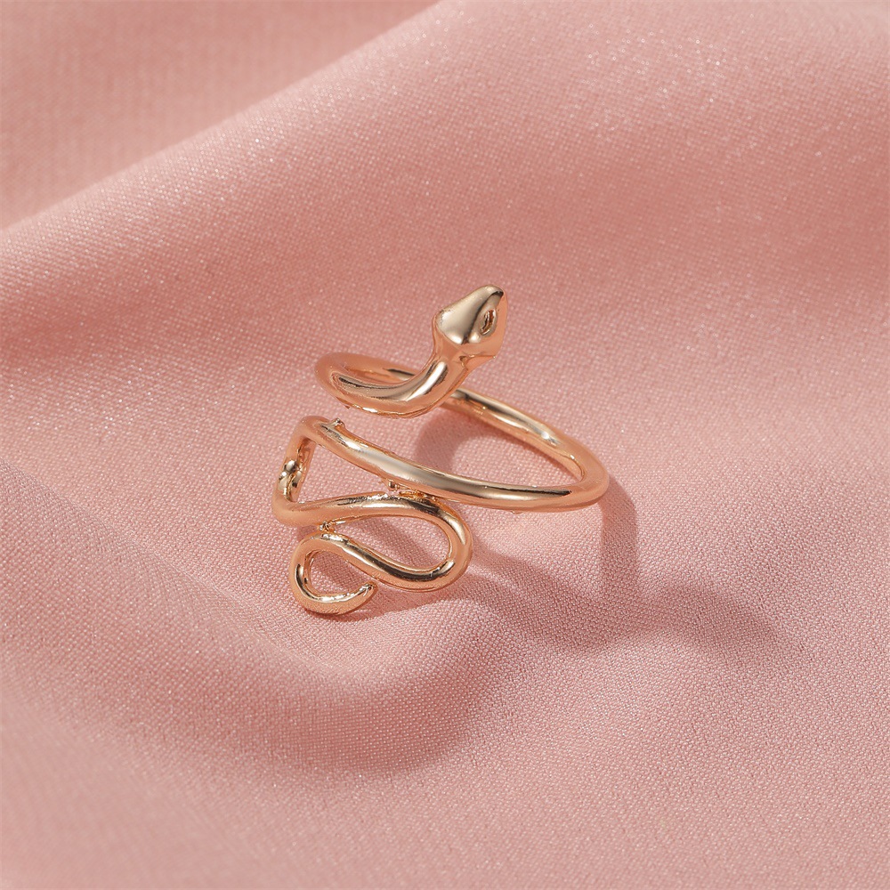 New Copper Ring Retro Snake-shaped Winding Ring Men And Women Snake Ring Wholesale Nihaojewelry display picture 3