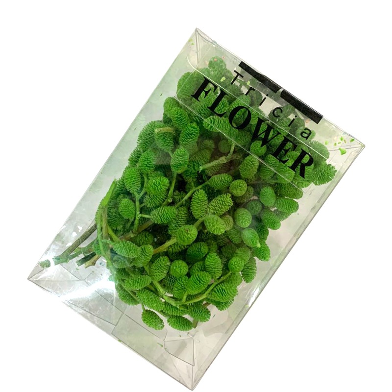 微信图片_20200424220504