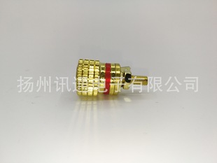 AV���ӽӾ��� XT-R 016