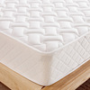 hotel dormitory Flats Rental Dedicated Flex Dual use Spring mattress Manufactor Direct selling wholesale Coconut mat machining
