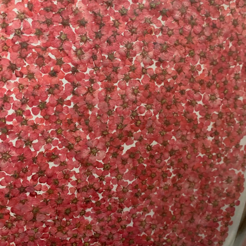 微信图片_20200415230725