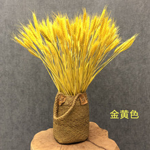 花彩麦子黄色新年装饰场地金黄色麦穗大麦真开业彩色金黄商场布置