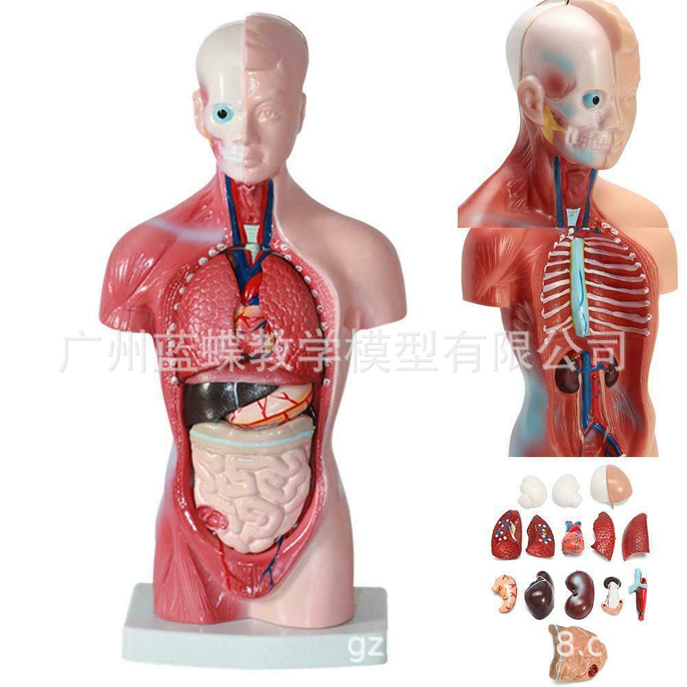 26CM网址
