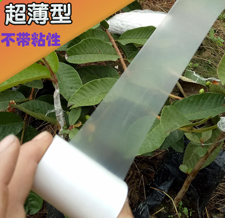 嫁接水果膜果树幼苗木嫁接膜全新PE材料薄款农业通用嫁接膜