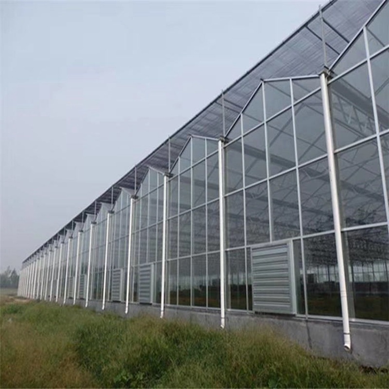 玻璃温室大棚工程 玻璃连栋温室建设 农业智能温室暖棚 生态餐厅