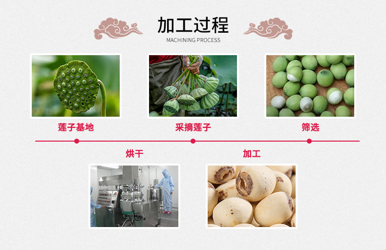 White Lotus Seeds Bai Lian Zi 500g Coreless Dried Nelumbo nucifera Seeds for Soup Congee and Herbal Cooking details
