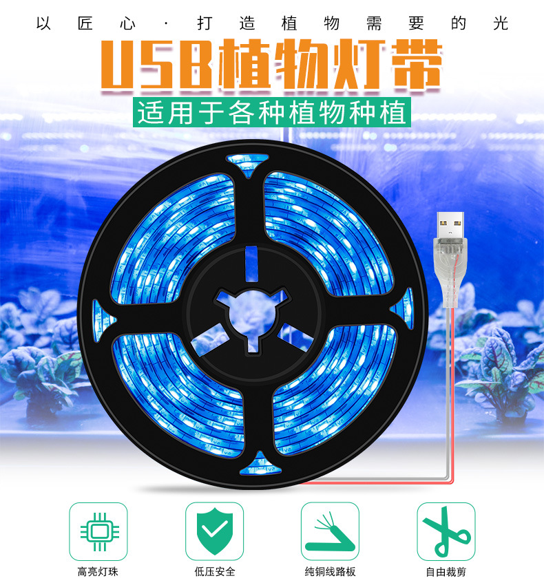 USB-冰蓝-植物灯带--_01.jpg