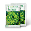 China Komao Vegetable Seed Omester 668 Cereal Cereal Cold -resistant Simpson Elite Capricorn