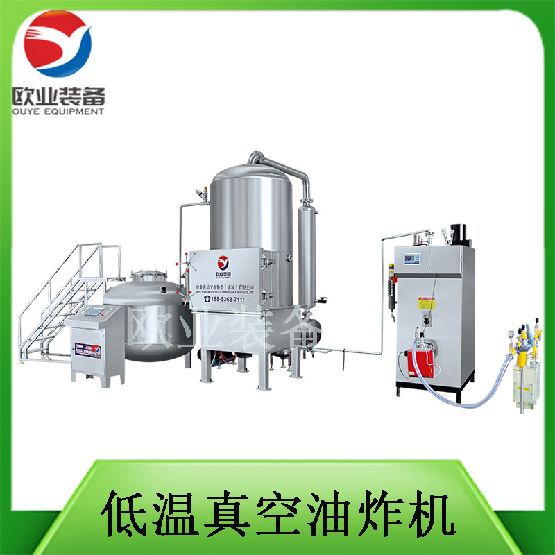 炸龙虾设备 小龙虾深加工机器 真空低温油炸机保色保香健康