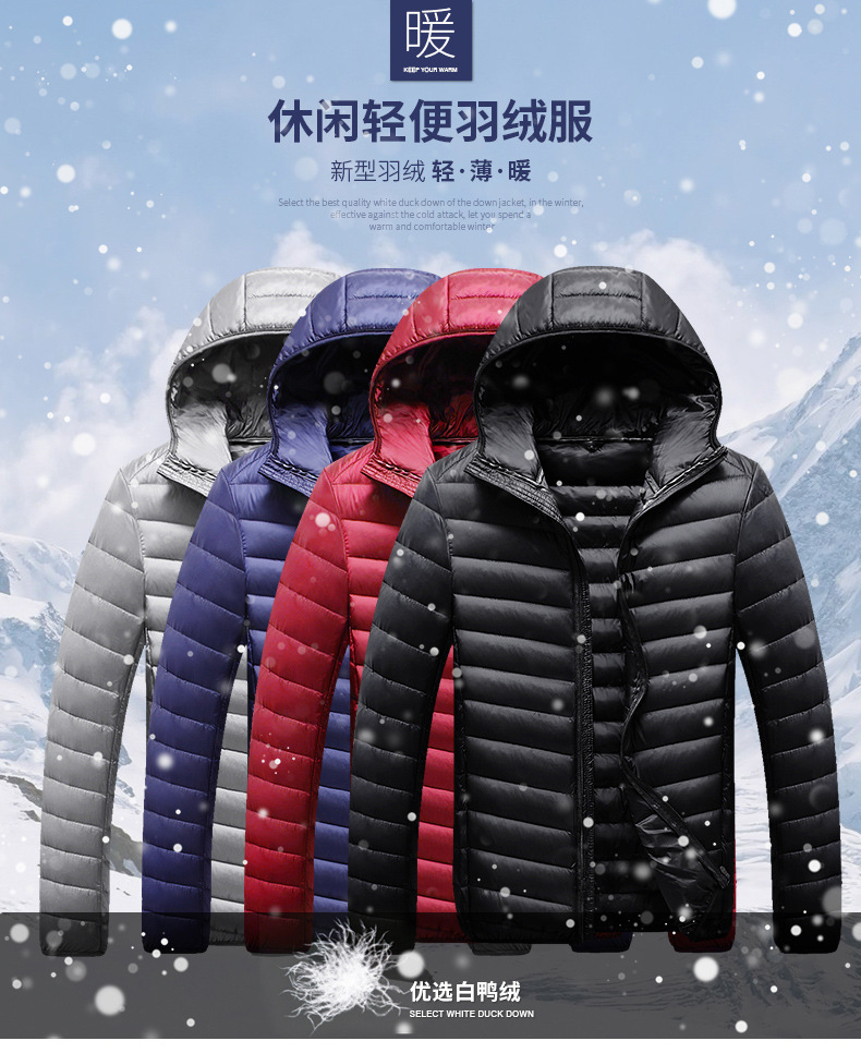 i2uUjf6mxdTrdS49SAR3xOdS91q76uOzQf/J