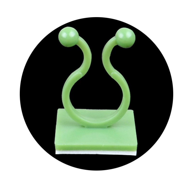 Следов нет, клей-древесная растяжка, устройство крепления на стены из лиан, зеленые растения, карта крепления, вьющаяся зелень
