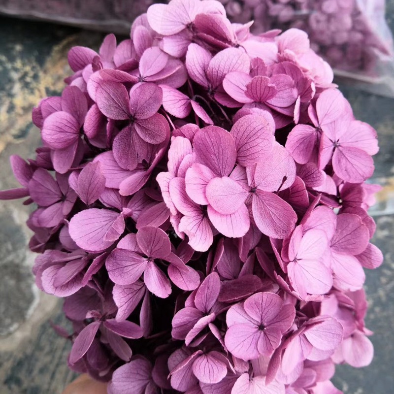 微信图片_20200421181948