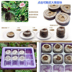 Gardening seedling block diameter 30mm seedling supplies novice sowing seedling cutting seedling nutrient soil compressed peat soil