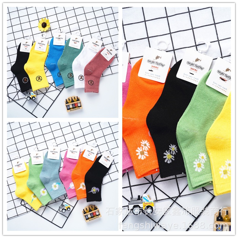 DSC08602 拷贝_副本3