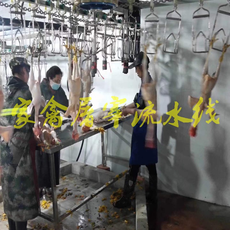 l家禽宰杀流水线 全自动鸡鸭鹅宰杀全套设备流水线可去安装