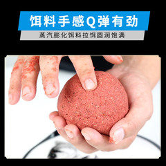 New 2020 Aromatic Fish Bait for Autumn and Winter Fishing, Effective for Crucian Carp and Carp, Wild Fishing Formula, Universal Catcher