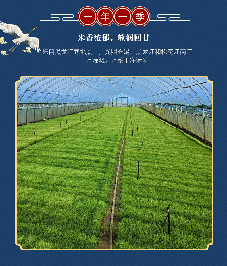 同江市順丽琦油贸有限公司(1)_07