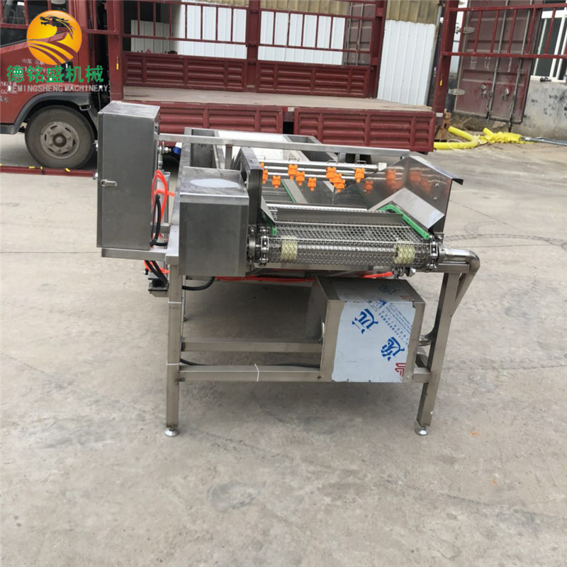 小龙虾气泡清洗机型号 多功能鱼类清洗生产线 带鱼段清洗机