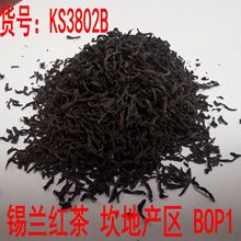 荷蓬锡兰红茶 口感厚重，康堤产区条索奶茶原料   阿萨姆红茶齐名