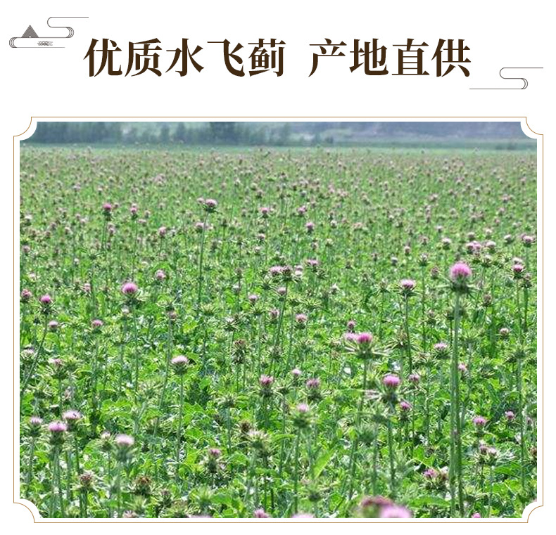 Milk Thistle Seed Shui Fei Ji 500g Whole Herb for Decoction and Culinary Use key features