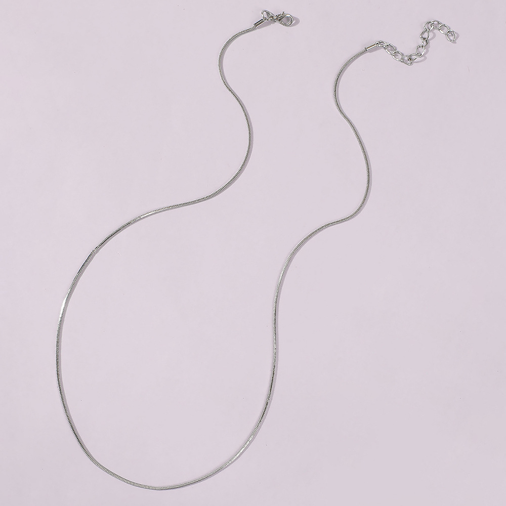 Hot-selling  Simple Snake Bone Chain Necklace display picture 8