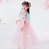 Hanfu Kids Tang costume Dress Ultra cents girl Summer wear summer ancient costume spring and autumn half sleeve princess China