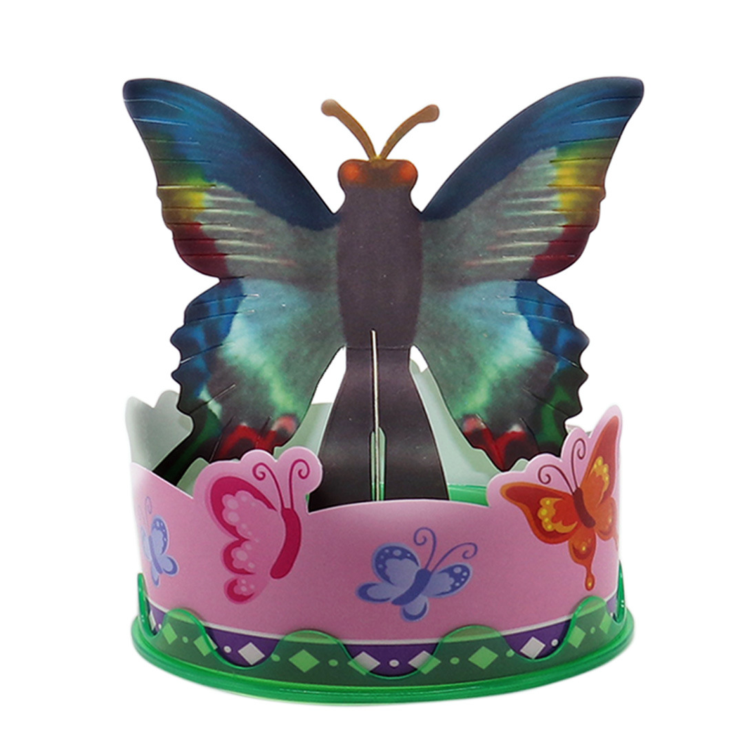 绿蝴蝶开花过程图-2