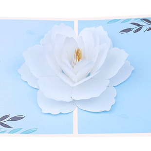 �S�ҹ���3d�R�� ��ӡ�d�ӻ����w�R�� ���ⷼ���ͻ���ֹ�ף����Ƭ