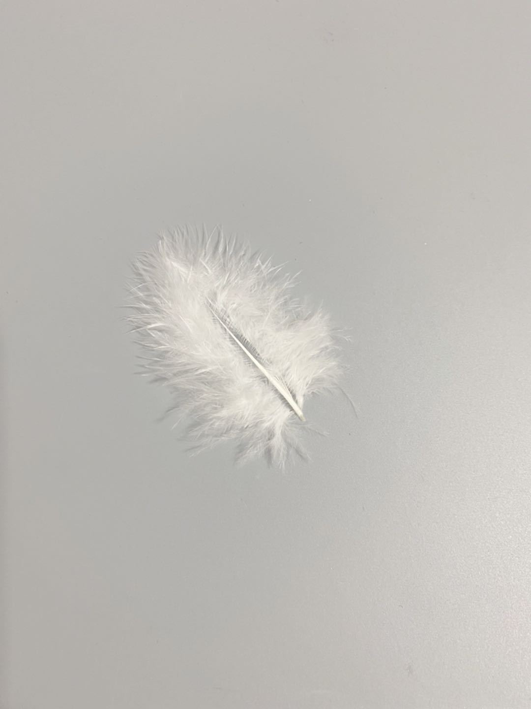 4d2f90d9727c930cc977c59adfb1e2